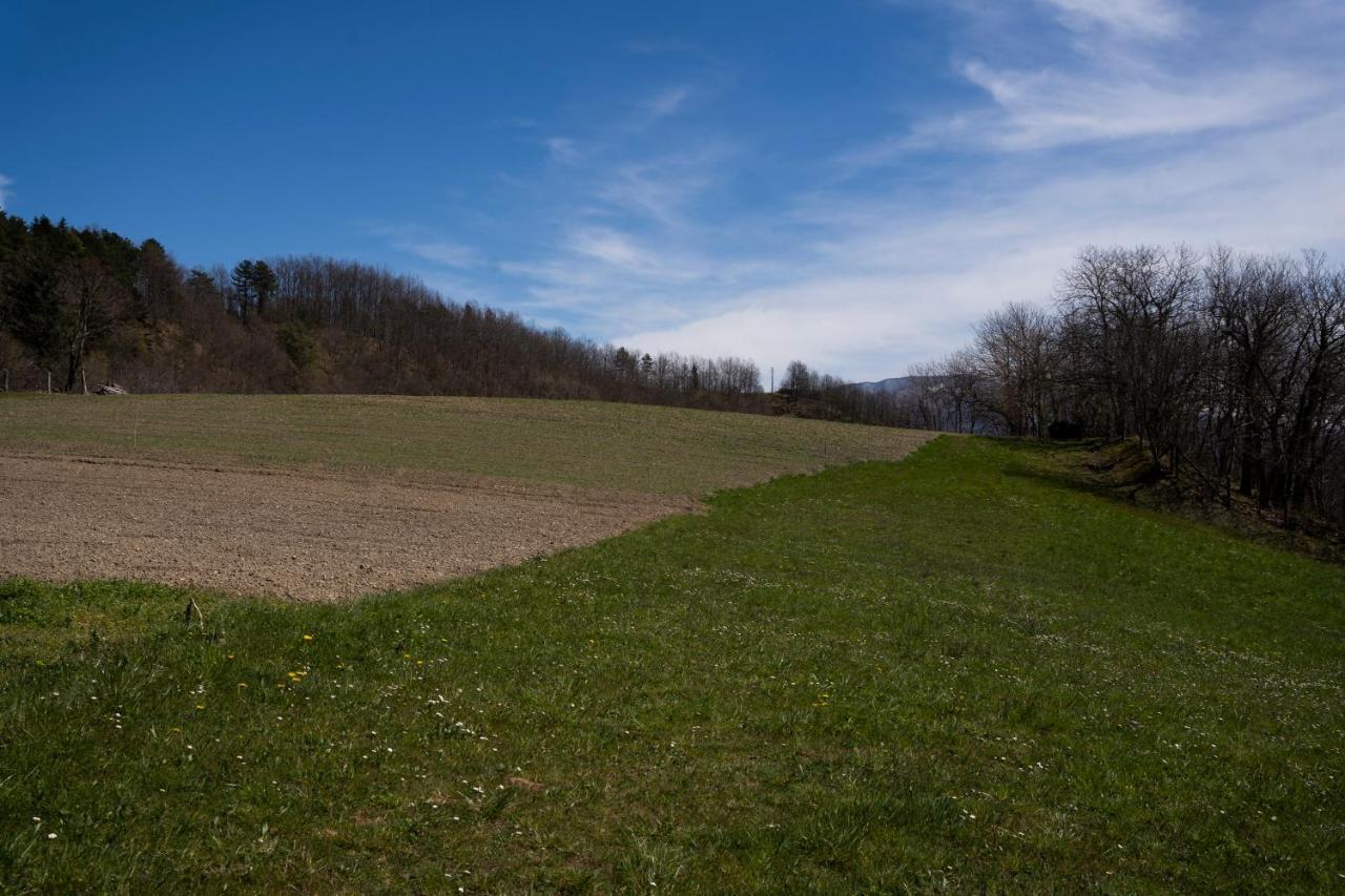 028 - Agriturismo "Il Boschetto" Con Piscina, Pace E Natura - Camera Familiare Cavizzano ภายนอก รูปภาพ