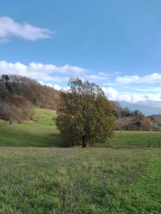 028 - Agriturismo "Il Boschetto" Con Piscina, Pace E Natura - Camera Familiare Cavizzano ภายนอก รูปภาพ